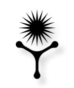 hoperism-shadow